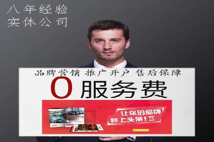 大型SEM服务公司案例分析